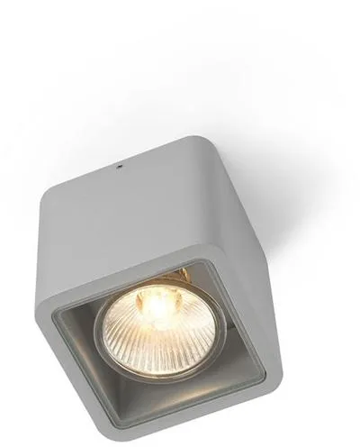 Trizo 21 Code 1 Utendørslampe Anodisert